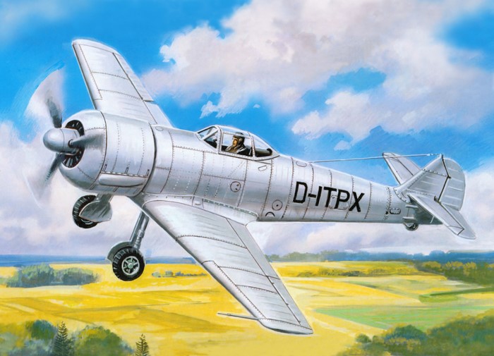 Bf-109X Airplane in Flight