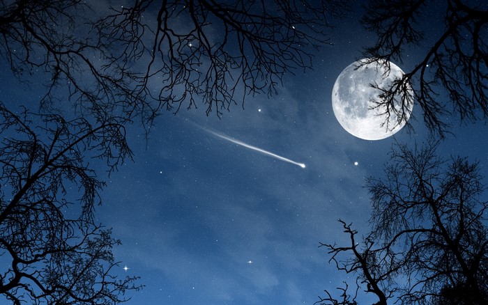 Night sky with moon, shooting star, and silhouetted branches