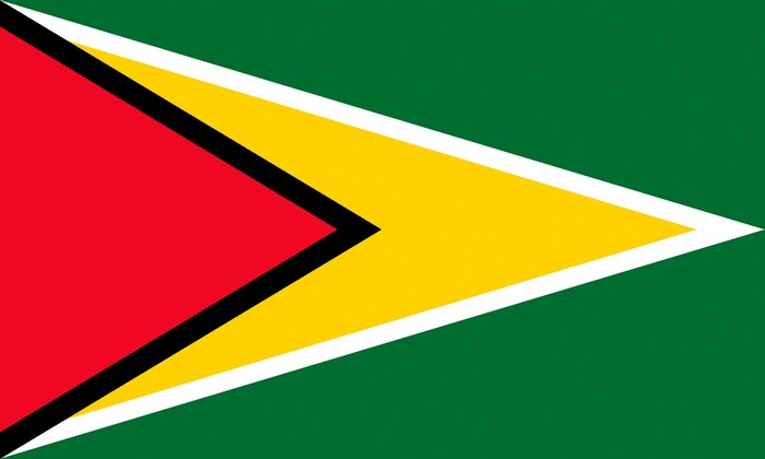 Flag of Guyana