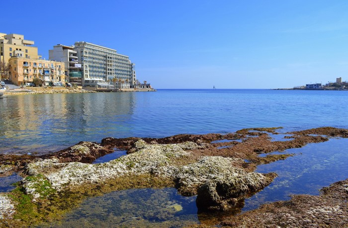 Rocky coastline with buildings and the sea in Malta