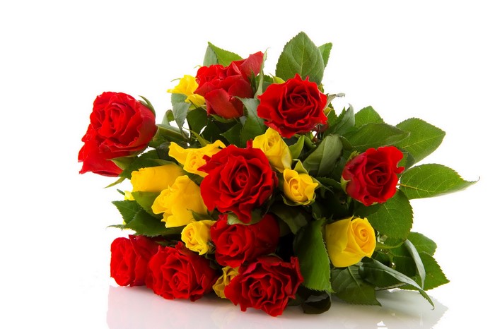 Bouquet of red and yellow roses