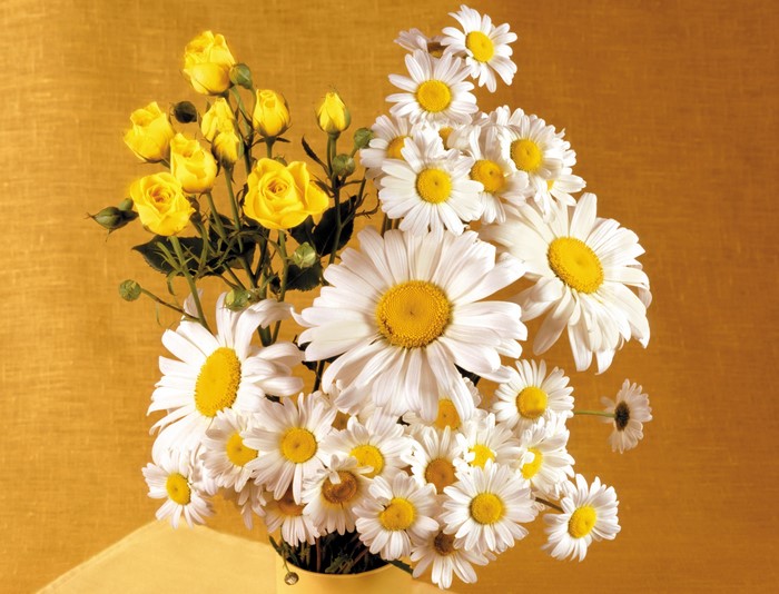 Bouquet of yellow roses and white daisies