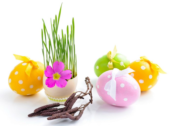 Easter eggs with grass and flower