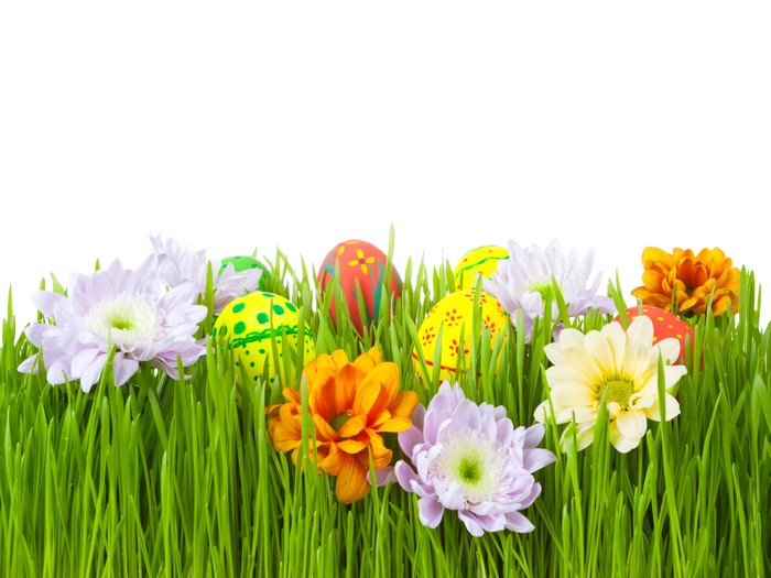 Easter Eggs and Flowers in Green Grass