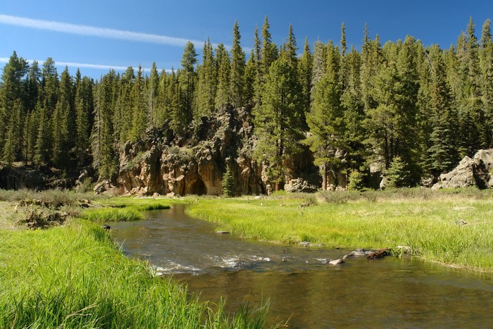 River flowing through a forest with rocky cliffs