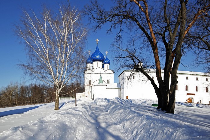 White church with blue domes in the snow