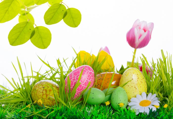 Easter Eggs and Tulips in Grass