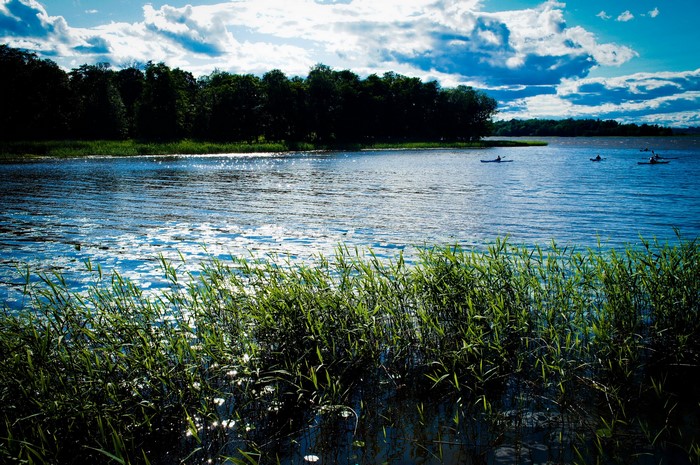 Kayakers on a lake in Sweden with grass in the foreground