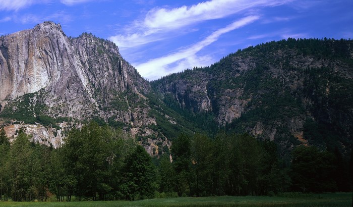 Mountains and forest in Yosemite Valley