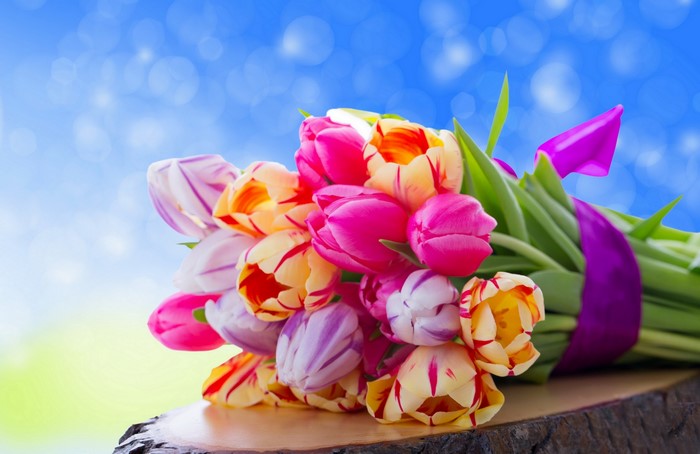 Bouquet of colorful tulips tied with a purple ribbon