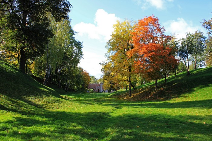 Park in Russia during Autumn with colorful trees
