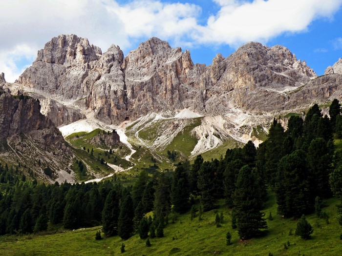 Rocky Mountains with Pine Forest in Italy