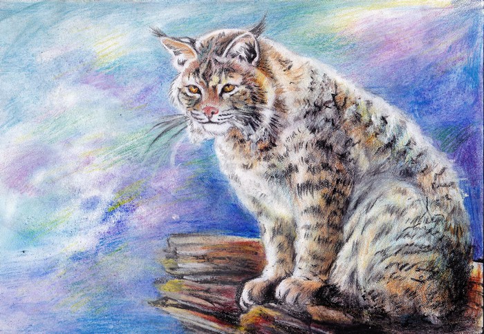 Bobcat sitting on logs with colorful sky