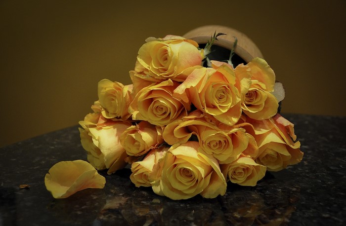 Yellow roses in a bouquet on a dark surface