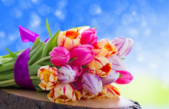 4K Tulips Bouquet with Purple Ribbon