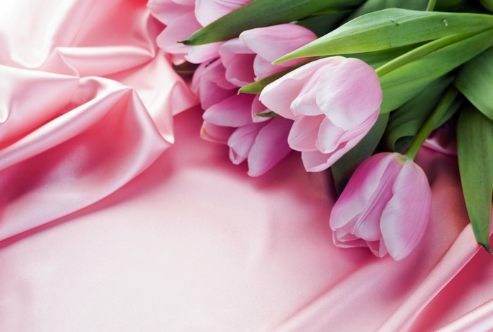 Pink Tulips on Pink Silk