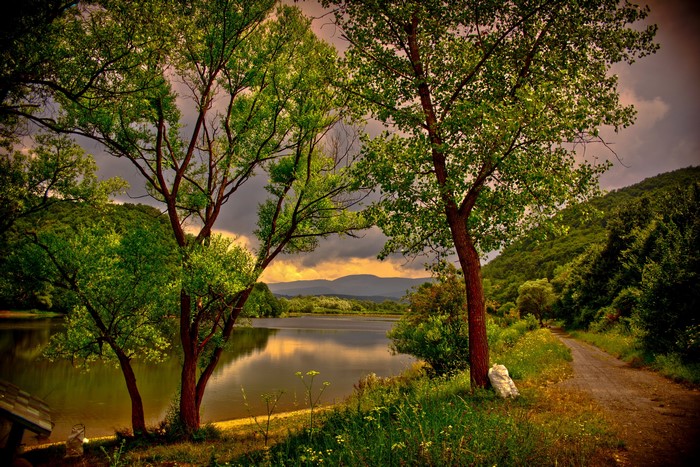 Lake and trees in Hungary