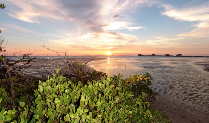 Sunset over the coast of Florida with buildings in the distance