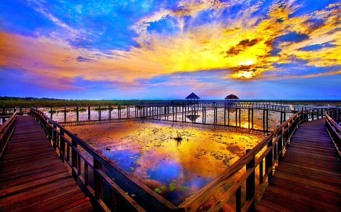 Wooden boardwalk over a lotus pond at sunset