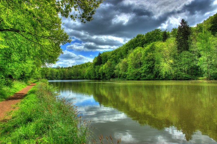 Forest lake with path and trees in Hessen, Germany