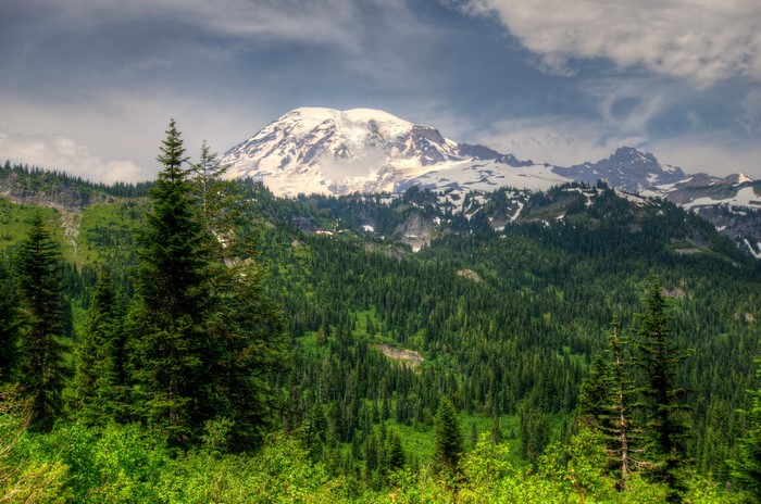 Mount Rainier National Park, Washington, USA