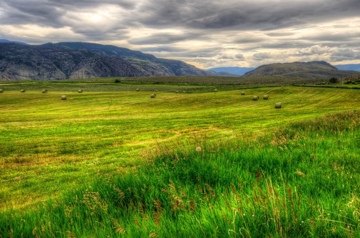 Hay bales in a green field with mountains in British Columbia
