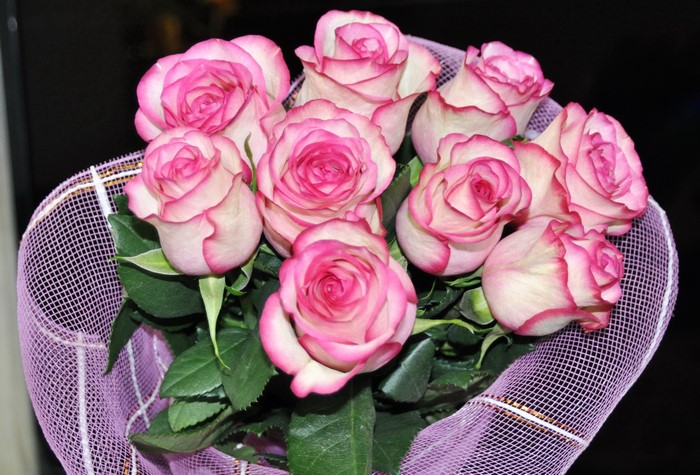 Bouquet of pink and white roses