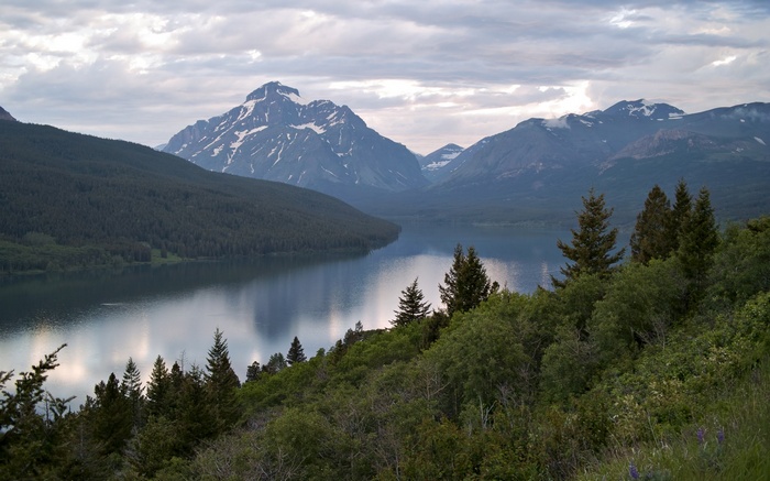 Lake and mountains with evergreen forest