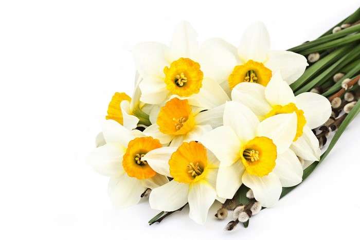 Bouquet of white daffodils with yellow centers and green leaves