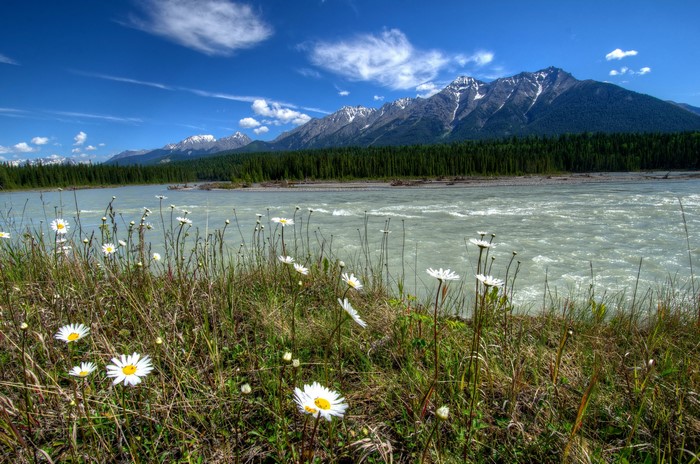 Vermilion Kootenay River and Mountain Scenery in Canada