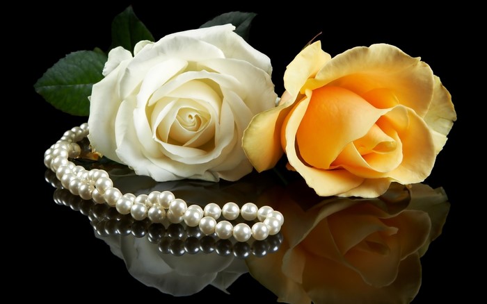White and yellow roses with pearls