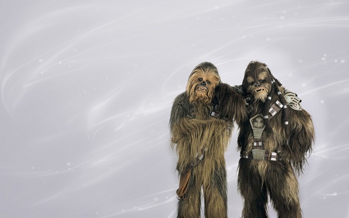 Two Chewbaccas from Star Wars
