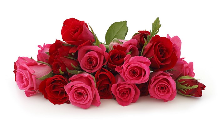 Bouquet of red and pink roses