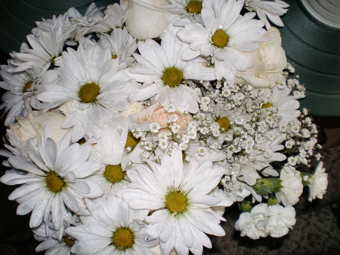 Bouquet of white daisies and roses with water droplets