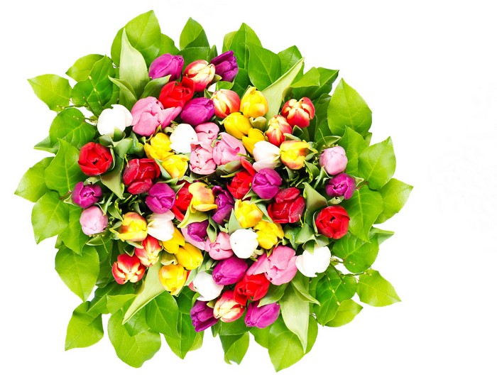 Colorful tulips bouquet with green leaves