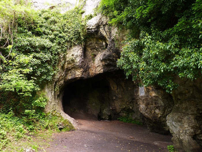Cave entrance with lush green vegetation