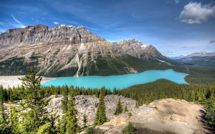 Peyto Lake and Bow Summit in Banff National Park