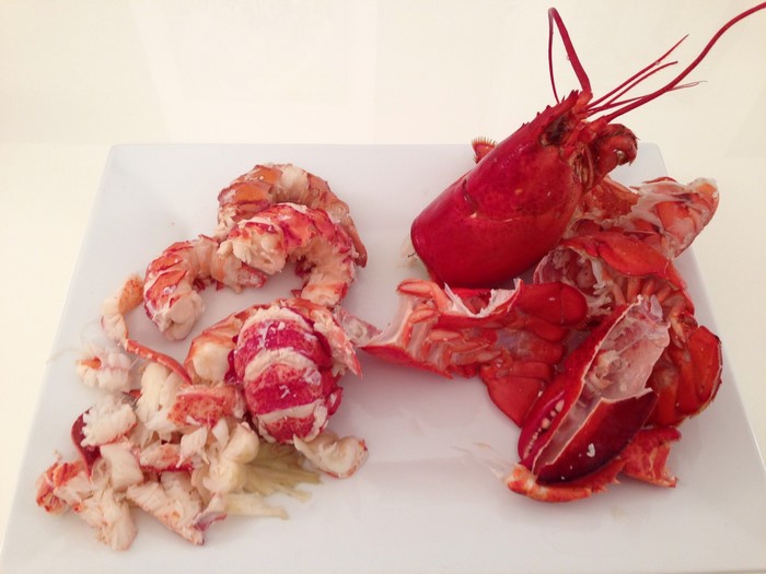 Cooked Lobster Meat and Shells on a Plate