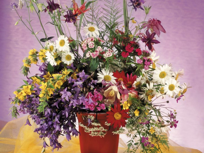 Bouquet of wildflowers in a red vase