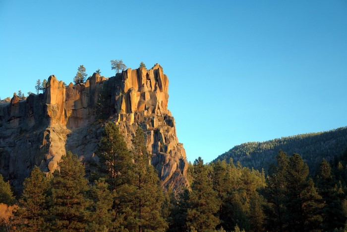 Rocky cliffs and pine trees under a clear blue sky