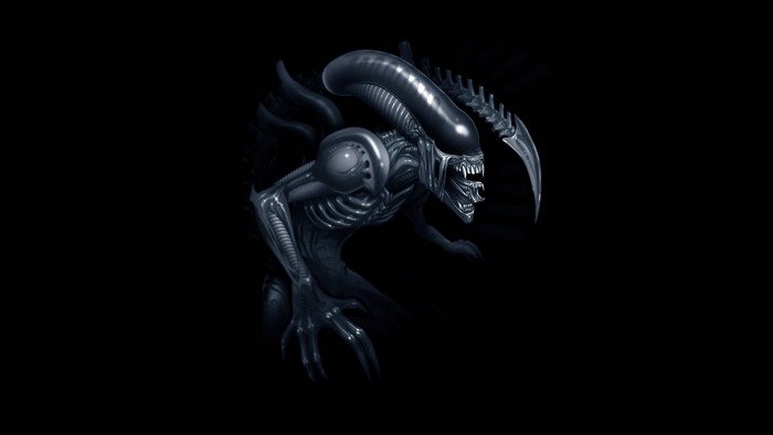 The Xenomorph Alien creature from the Alien franchise