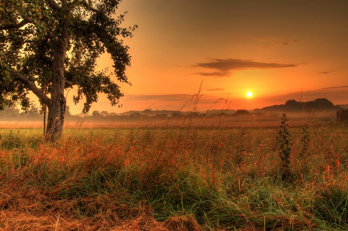 4K HDR Sunrise over a field in Hungen, Germany