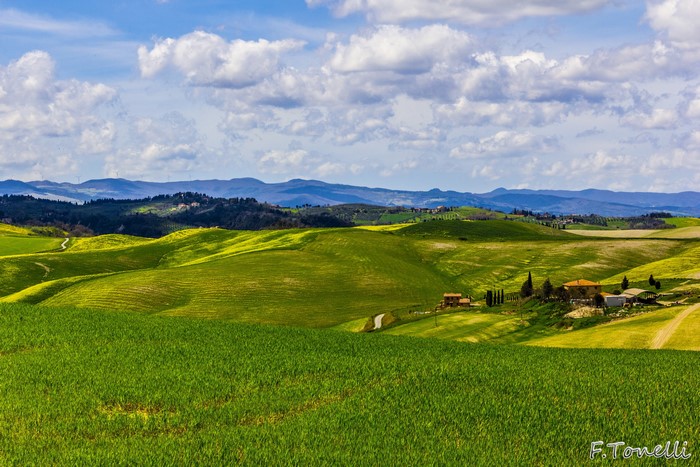 Rolling green hills and farmhouses in Volterra, Italy