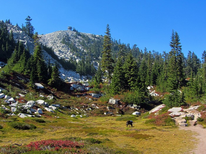 Mountain landscape with a fire lookout tower in Washington, USA