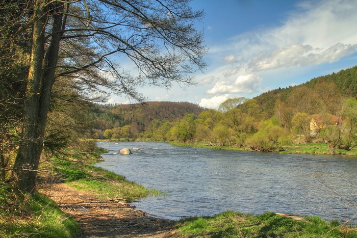 River flowing through a forested valley in Bavaria, Germany