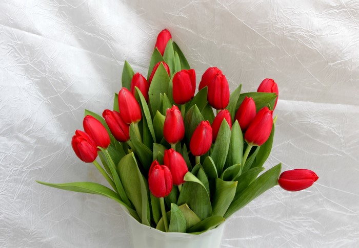 Red Tulips Bouquet