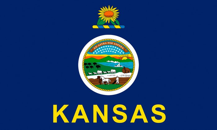 Kansas Flag