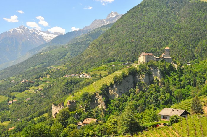 Castles and vineyards in the Italian Alps