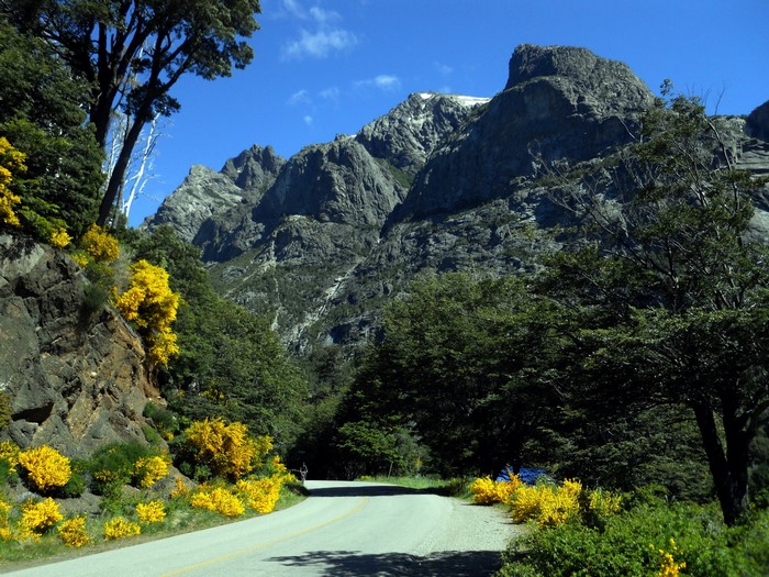 Road through mountains with yellow flowers in Patagonia