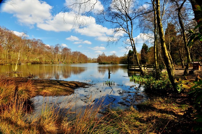 Lake with trees and reflections in West Yorkshire